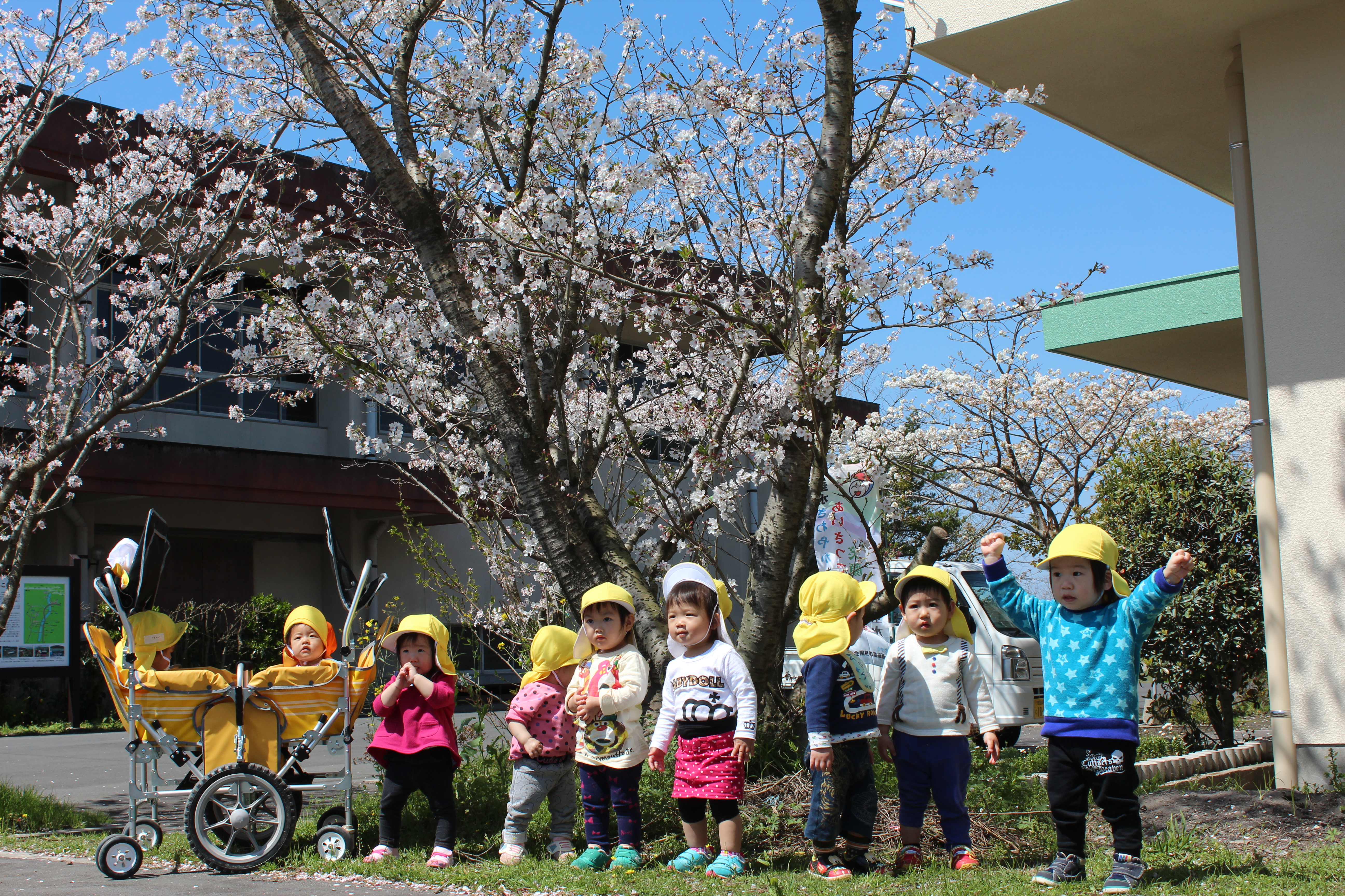 桜の木の下で