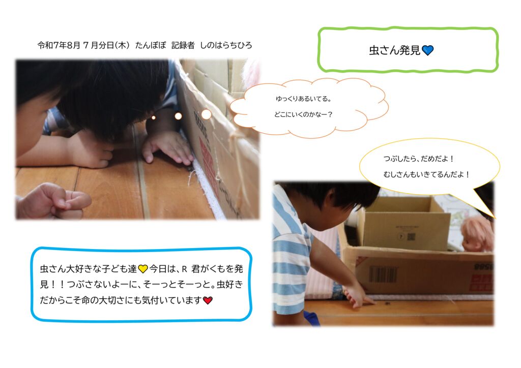 ８０７のサムネイル